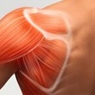 Shoulder pain / Frozen shoulder